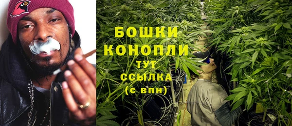 прущие грибы Карталы