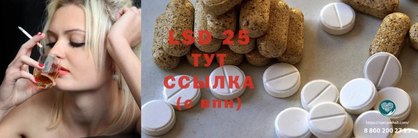 прущие грибы Карталы