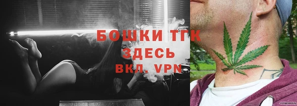 прущие грибы Карталы