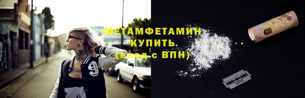 прущие грибы Карталы