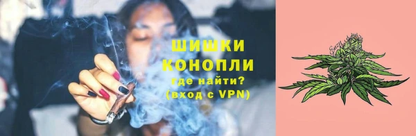 прущие грибы Карталы