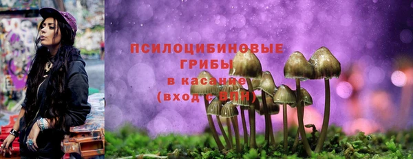 соль ск Карпинск